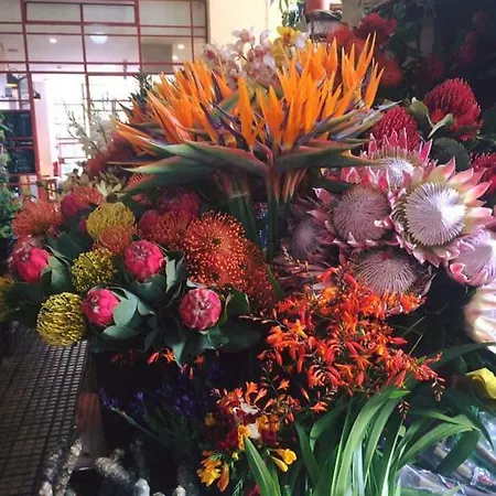 Casa Das Martas 丰沙尔